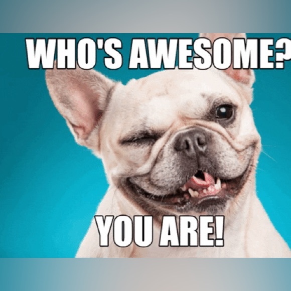 WELCOME to THE ANGEL SHOW - Picture 6 of 13